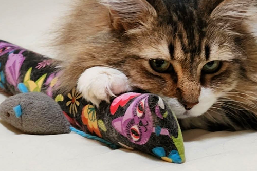 Durable & Handmade in the USA